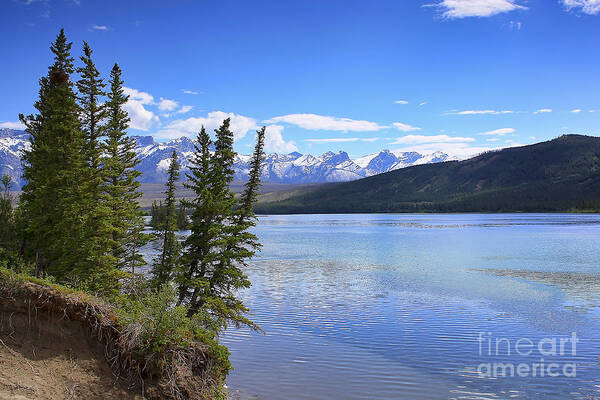 Athabasca River Poster featuring the photograph Athabasca River Scenery by Teresa Zieba