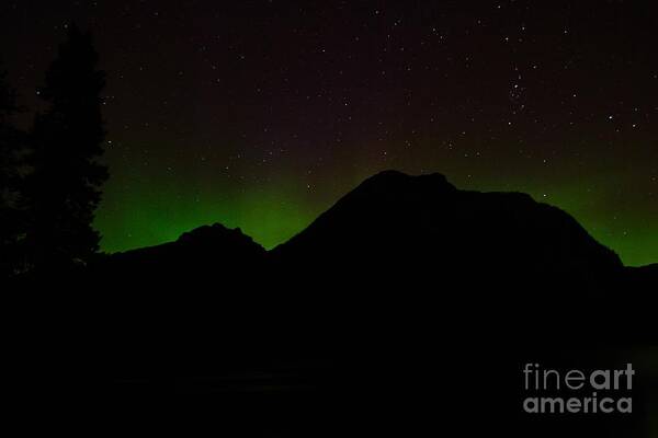 Northern Lights Poster featuring the photograph Aurora At Lake Minnewanka by Phil Dionne