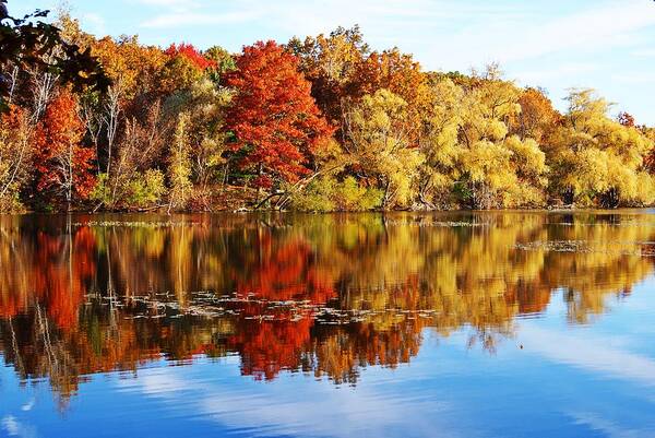 Horn Pond Poster featuring the photograph Autumn at Horn Pond by Joe Faherty