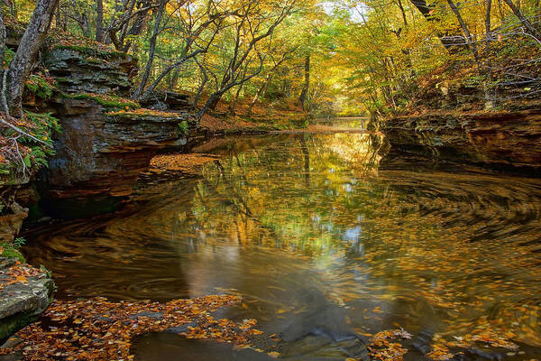 Skillet Creek Poster featuring the photograph Autumn Colors at Skillet Creek by Leda Robertson