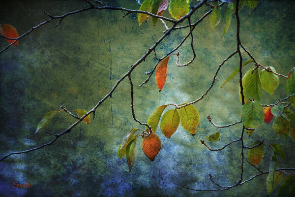 Autumn Poster featuring the photograph Autumn Colours by Eena Bo
