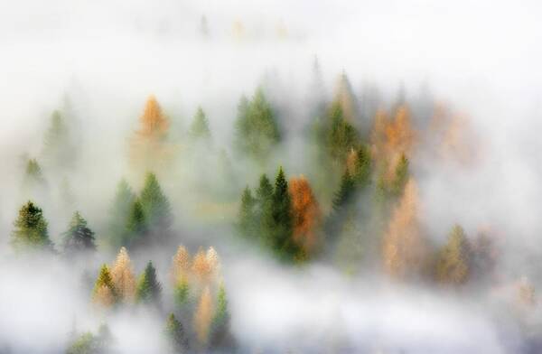 Landscape Poster featuring the photograph Autumn Dream by Kristjan Rems