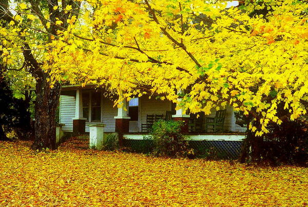 House Poster featuring the photograph Autumn Homestead by Rodney Lee Williams