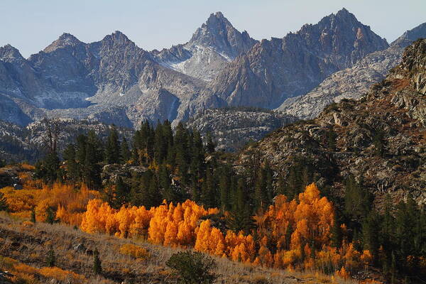 Fall Poster featuring the photograph Autumn in Bishop Canyon in the Eastern Sierras by Jetson Nguyen