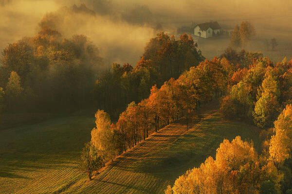 Landscape Poster featuring the photograph Autumn by Izabela Laszewska-mitrega/darek Mitr?ga