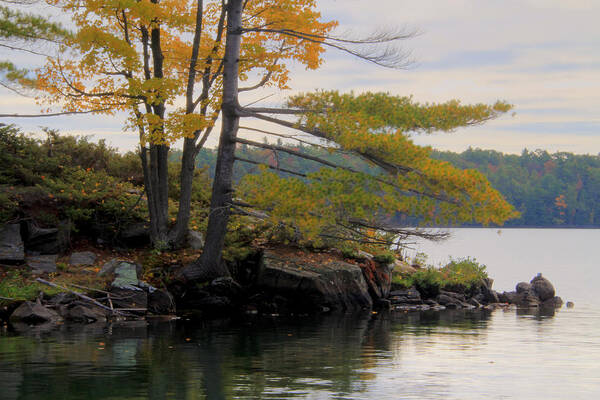 Nature Landscape Autumn Photograph Photo Color Water Reflection Reflections Ontario Canada Poster featuring the photograph Autumn Landscape 2 by Jim Vance