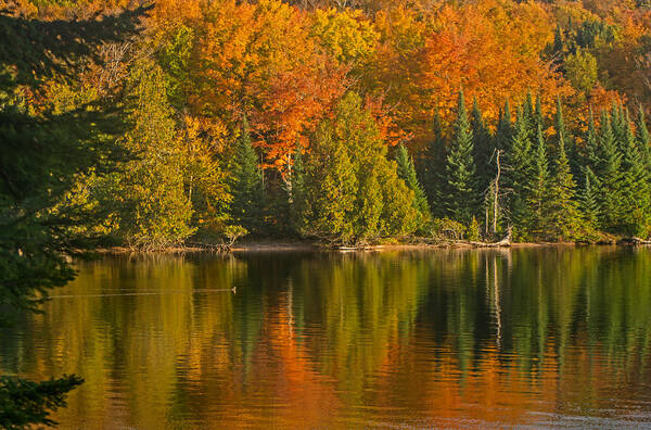Autumn Poster featuring the photograph Autumn on Grand Sable Lake by Gary McCormick