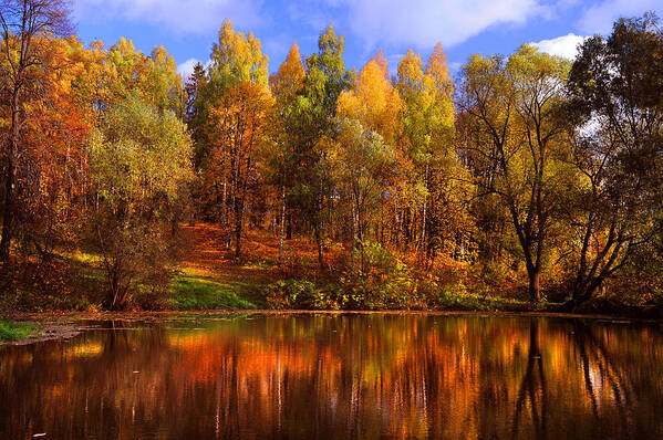 Jenny Rainbow Fine Art Photography Poster featuring the photograph Autumn Reflections by Jenny Rainbow