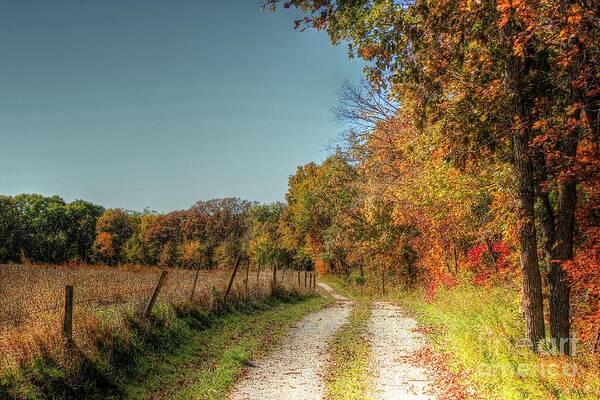 Landscape Poster featuring the photograph Autumn Ridge by Thomas Danilovich