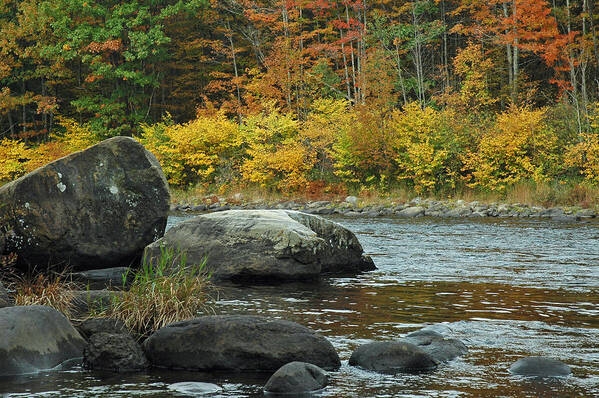 New York Poster featuring the photograph Autumn River Boulders in Upstate New York by Bruce Gourley
