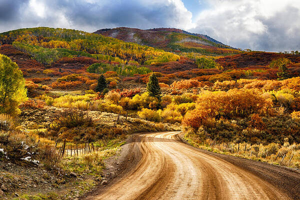 #colorado Poster featuring the photograph Autumn Road by David Soldano