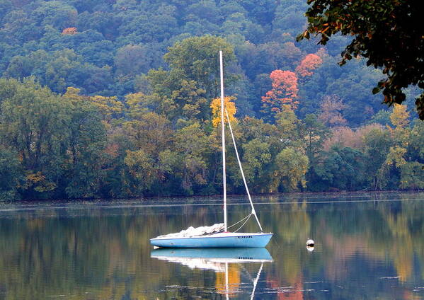 Autumn Poster featuring the photograph Autumn Sails by Wild Thing