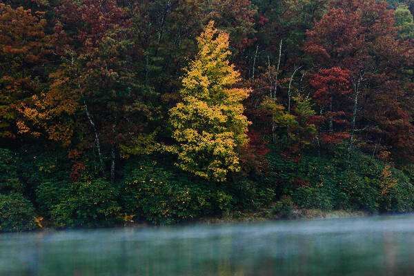 Autumn Poster featuring the photograph Autumn Splendor by Shane Holsclaw
