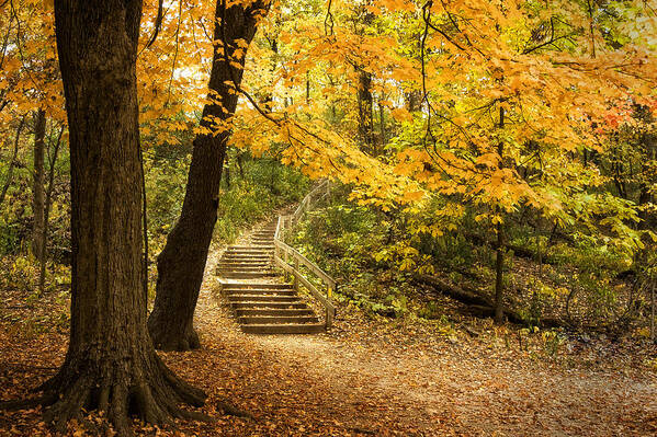 Autumn Poster featuring the photograph Autumn Stairs by Scott Norris