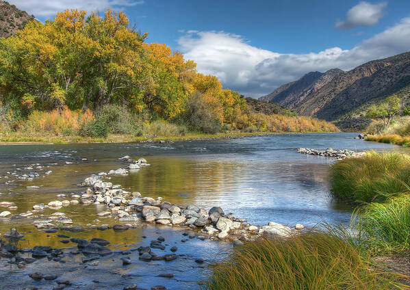Rio Grande River Poster featuring the photograph Autumn Stance by Britt Runyon