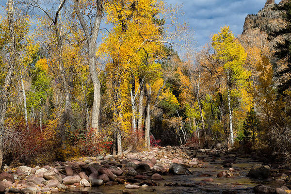 Autumn Landscape Poster featuring the photograph Autumn Stream in Dry Fork Canyon by Kathleen Bishop