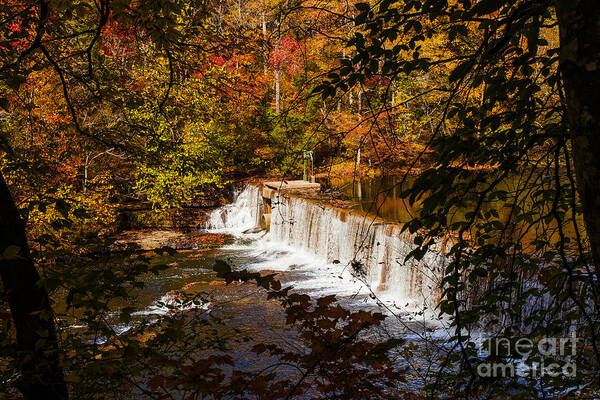 Autumn Trees On River Poster featuring the photograph Autumn Trees On Duck River by Jerry Cowart