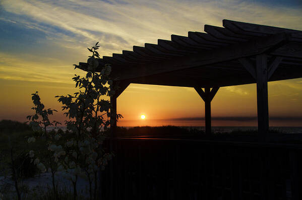 Avalon Poster featuring the photograph Avalon Beach Gazebo at Sunrise by Bill Cannon