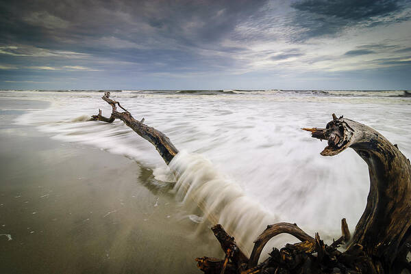 Charleston Poster featuring the photograph Awash by Steve DuPree