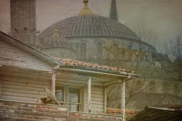 Blue Mosque Poster featuring the photograph Backyard Splendor by Joan Carroll