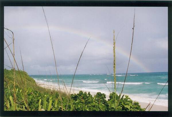 Rainbow Poster featuring the photograph Bahama Rainbow by Robert Nickologianis