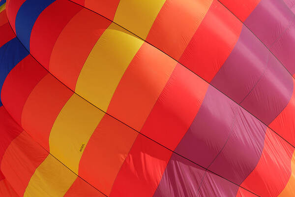 02022013-32- Poster featuring the photograph Balloon Shell Colors by Saibal Ghosh
