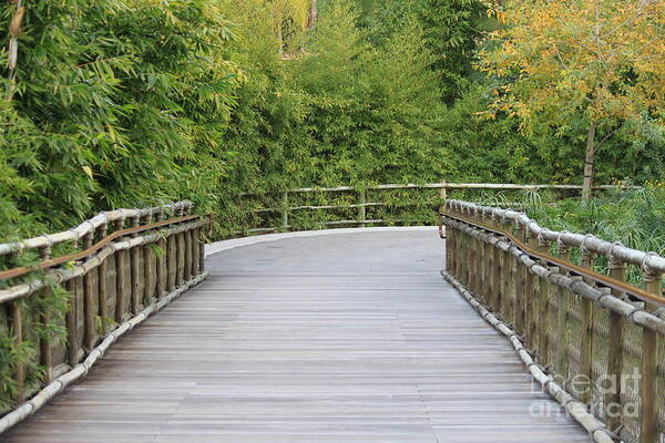 Bamboo Bridge Poster featuring the photograph Bamboo Bridge by Bev Conover