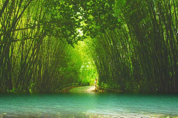 Blue Lagoon Poster featuring the photograph bamboo path to Blue Lagoon by Dennis Baswell