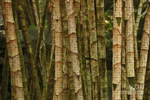Bamboo Poster featuring the photograph Bamboo with Texture by Vivian Christopher