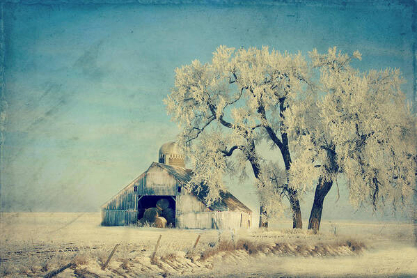 Barn Poster featuring the photograph Winter Time Blues by Julie Hamilton