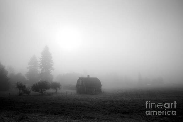 Agriculture Poster featuring the photograph Barn in field sunrise by Jim Corwin