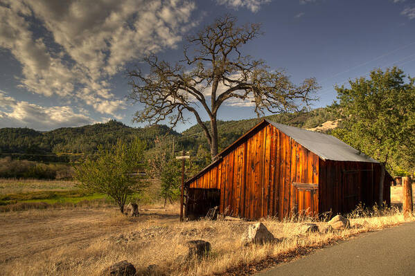 Napa Poster featuring the photograph Barn in Napa region by Cliff Wassmann