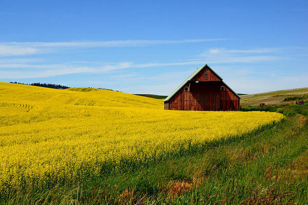 Palouse Poster featuring the photograph Barn on the Palouse by Daniel Woodrum