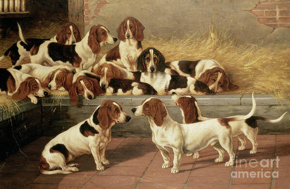 Dog Poster featuring the painting Basset Hounds in a Kennel by VT Garland
