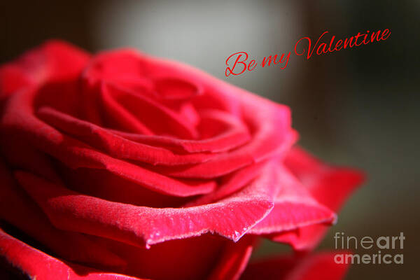 Red Roses Poster featuring the photograph Be My Valentine by Lynn England