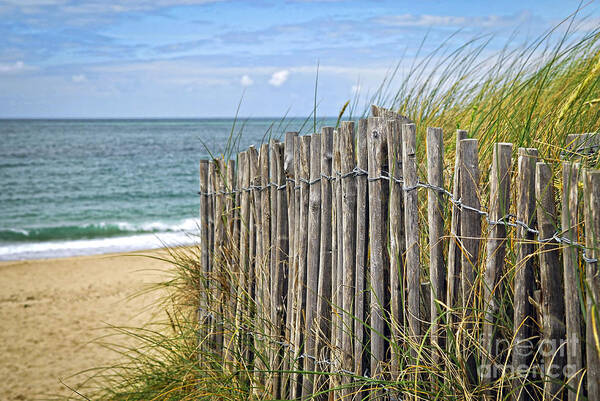 Ocean Poster featuring the photograph Beach fence by Elena Elisseeva