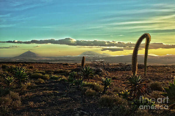 Arid Poster featuring the digital art Beautiful desert landscape by Patricia Hofmeester