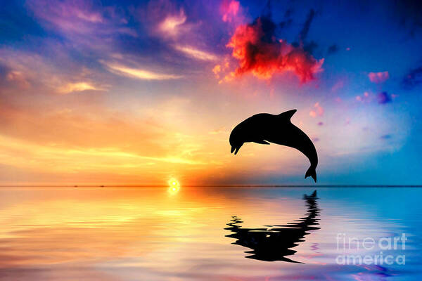 Sea Poster featuring the photograph Beautiful ocean and sunset with dolphin jumping by Michal Bednarek