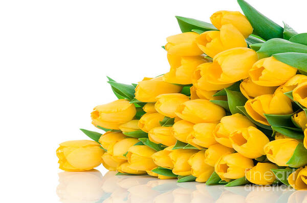 Beautiful Poster featuring the photograph Beautiful Yellow Tulips valentine by Boon Mee