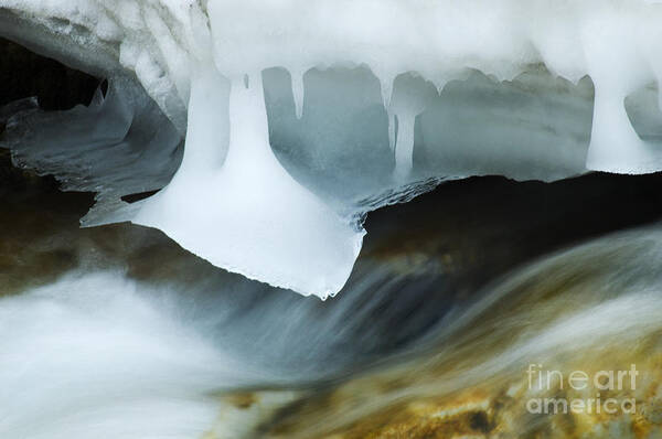 Ice Poster featuring the photograph Beauty Of Winter Ice Canada 4 by Bob Christopher