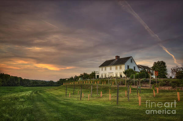 Massachusetts Poster featuring the photograph Beneath An Evening Sky by Evelina Kremsdorf