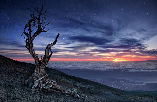 Landscape Poster featuring the photograph Beyond The Sky by Andrea Auf Dem