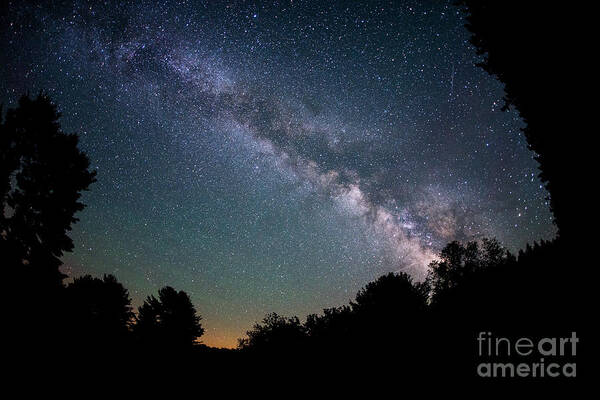Milky Way Mike Poster featuring the photograph Beyond The Tree Tops by Michael Ver Sprill