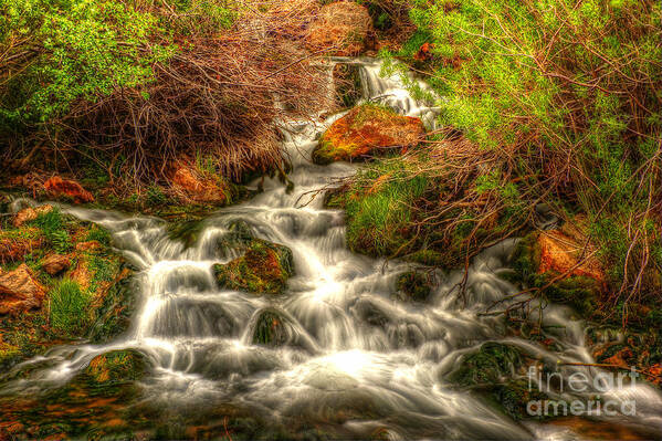 Sheep Creek Canyon Poster featuring the photograph Big Spring in Sheep Creek Canyon by Dennis Hammer