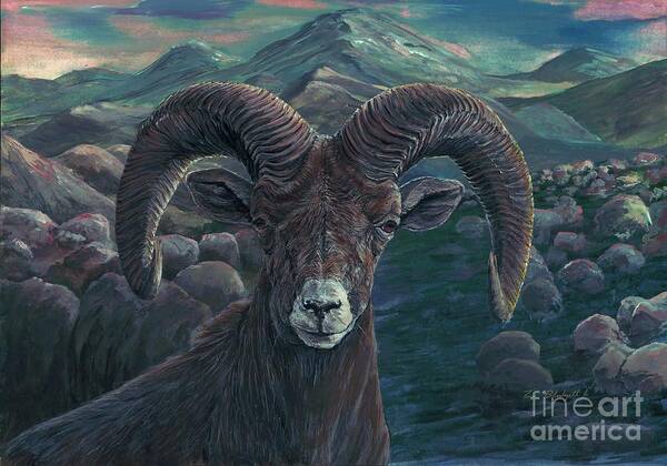 Big Horn Poster featuring the painting Bighorn Sheep by Tom Blodgett Jr