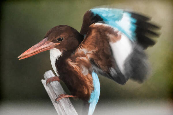 Artistic Poster featuring the photograph Bird in a box by Ray Shiu