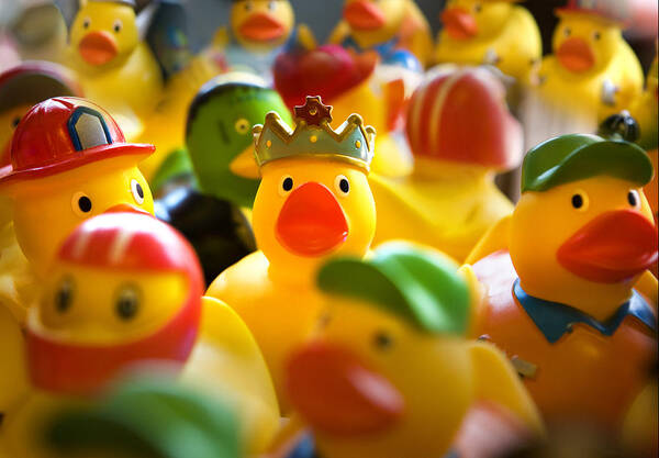 Duck Poster featuring the photograph Rubber Duckies by Marilyn Hunt