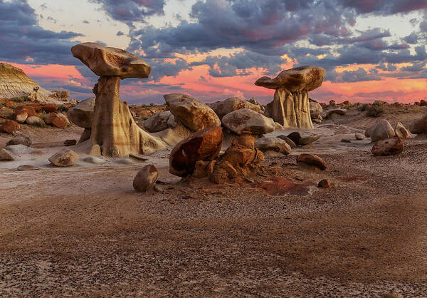 Badlands Poster featuring the photograph Bisti's Mushrooms by Alex Mironyuk
