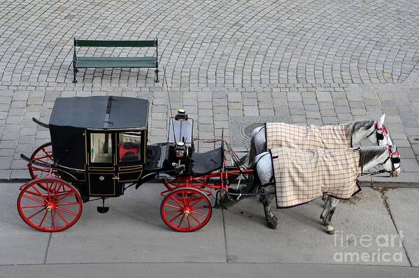Carriage Poster featuring the photograph Black and red horse carriage - Vienna Austria by Imran Ahmed