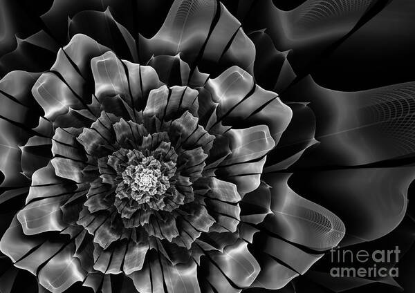 Abstract Poster featuring the digital art Black and white fractal flower by Martin Capek